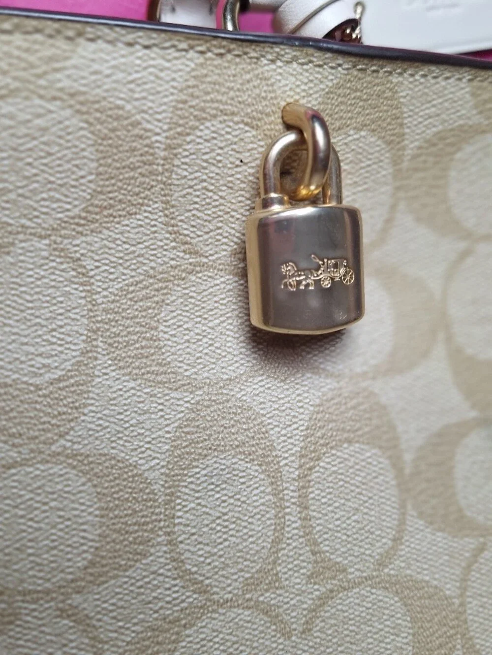 Coach ZOE Carryall Signature Canvas